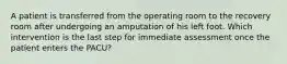 A patient is transferred from the operating room to the recovery room after undergoing an amputation of his left foot. Which intervention is the last step for immediate assessment once the patient enters the PACU?