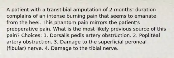 A patient with a transtibial amputation of 2 months' duration complains of an intense burning pain that seems to emanate from the heel. This phantom pain mirrors the patient's preoperative pain. What is the most likely previous source of this pain? Choices: 1. Dorsalis pedis artery obstruction. 2. Popliteal artery obstruction. 3. Damage to the superficial peroneal (fibular) nerve. 4. Damage to the tibial nerve.