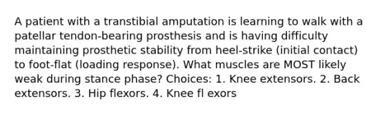 A patient with a transtibial amputation is learning to walk with a patellar tendon-bearing prosthesis and is having difficulty maintaining prosthetic stability from heel-strike (initial contact) to foot-flat (loading response). What muscles are MOST likely weak during stance phase? Choices: 1. Knee extensors. 2. Back extensors. 3. Hip flexors. 4. Knee fl exors