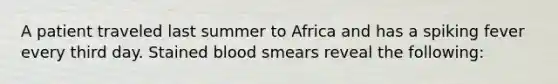 A patient traveled last summer to Africa and has a spiking fever every third day. Stained blood smears reveal the following: