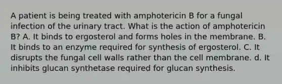 A patient is being treated with amphotericin B for a fungal infection of the urinary tract. What is the action of amphotericin B? A. It binds to ergosterol and forms holes in the membrane. B. It binds to an enzyme required for synthesis of ergosterol. C. It disrupts the fungal cell walls rather than the cell membrane. d. It inhibits glucan synthetase required for glucan synthesis.