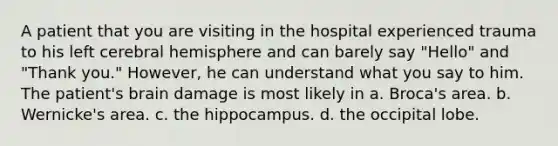 A patient that you are visiting in the hospital experienced trauma to his left cerebral hemisphere and can barely say "Hello" and "Thank you." However, he can understand what you say to him. The patient's brain damage is most likely in a. Broca's area. b. Wernicke's area. c. the hippocampus. d. the occipital lobe.