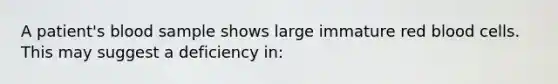 A patient's blood sample shows large immature red blood cells. This may suggest a deficiency in: