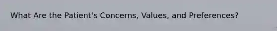 What Are the Patient's Concerns, Values, and Preferences?