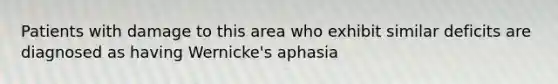 Patients with damage to this area who exhibit similar deficits are diagnosed as having Wernicke's aphasia