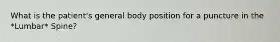 What is the patient's general body position for a puncture in the *Lumbar* Spine?