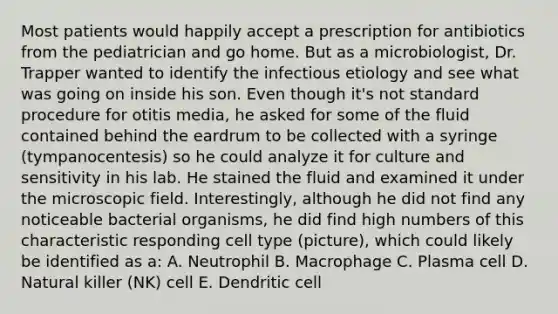 Most patients would happily accept a prescription for antibiotics from the pediatrician and go home. But as a microbiologist, Dr. Trapper wanted to identify the infectious etiology and see what was going on inside his son. Even though it's not standard procedure for otitis media, he asked for some of the fluid contained behind the eardrum to be collected with a syringe (tympanocentesis) so he could analyze it for culture and sensitivity in his lab. He stained the fluid and examined it under the microscopic field. Interestingly, although he did not find any noticeable bacterial organisms, he did find high numbers of this characteristic responding cell type (picture), which could likely be identified as a: A. Neutrophil B. Macrophage C. Plasma cell D. Natural killer (NK) cell E. Dendritic cell