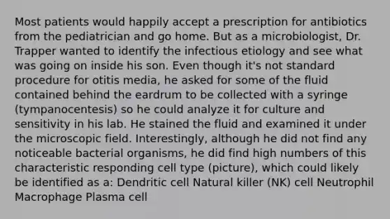 Most patients would happily accept a prescription for antibiotics from the pediatrician and go home. But as a microbiologist, Dr. Trapper wanted to identify the infectious etiology and see what was going on inside his son. Even though it's not standard procedure for otitis media, he asked for some of the fluid contained behind the eardrum to be collected with a syringe (tympanocentesis) so he could analyze it for culture and sensitivity in his lab. He stained the fluid and examined it under the microscopic field. Interestingly, although he did not find any noticeable bacterial organisms, he did find high numbers of this characteristic responding cell type (picture), which could likely be identified as a: Dendritic cell Natural killer (NK) cell Neutrophil Macrophage Plasma cell