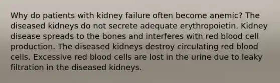 Why do patients with kidney failure often become anemic? The diseased kidneys do not secrete adequate erythropoietin. Kidney disease spreads to the bones and interferes with red blood cell production. The diseased kidneys destroy circulating red blood cells. Excessive red blood cells are lost in the urine due to leaky filtration in the diseased kidneys.