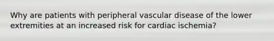 Why are patients with peripheral vascular disease of the lower extremities at an increased risk for cardiac ischemia?