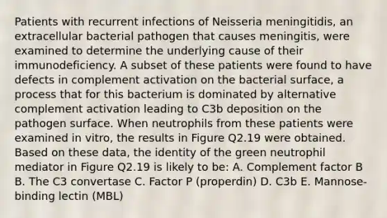 Patients with recurrent infections of Neisseria meningitidis, an extracellular bacterial pathogen that causes meningitis, were examined to determine the underlying cause of their immunodeficiency. A subset of these patients were found to have defects in complement activation on the bacterial surface, a process that for this bacterium is dominated by alternative complement activation leading to C3b deposition on the pathogen surface. When neutrophils from these patients were examined in vitro, the results in Figure Q2.19 were obtained. Based on these data, the identity of the green neutrophil mediator in Figure Q2.19 is likely to be: A. Complement factor B B. The C3 convertase C. Factor P (properdin) D. C3b E. Mannose-binding lectin (MBL)