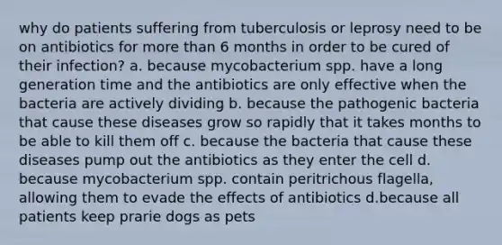 why do patients suffering from tuberculosis or leprosy need to be on antibiotics for more than 6 months in order to be cured of their infection? a. because mycobacterium spp. have a long generation time and the antibiotics are only effective when the bacteria are actively dividing b. because the pathogenic bacteria that cause these diseases grow so rapidly that it takes months to be able to kill them off c. because the bacteria that cause these diseases pump out the antibiotics as they enter the cell d. because mycobacterium spp. contain peritrichous flagella, allowing them to evade the effects of antibiotics d.because all patients keep prarie dogs as pets