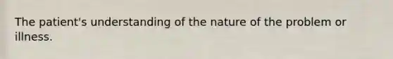The patient's understanding of the nature of the problem or illness.