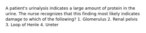 A patient's urinalysis indicates a large amount of protein in the urine. The nurse recognizes that this finding most likely indicates damage to which of the following? 1. Glomerulus 2. Renal pelvis 3. Loop of Henle 4. Ureter