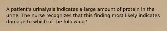 A patient's urinalysis indicates a large amount of protein in the urine. The nurse recognizes that this finding most likely indicates damage to which of the following?