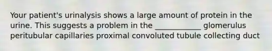 Your patient's urinalysis shows a large amount of protein in the urine. This suggests a problem in the ____________ glomerulus peritubular capillaries proximal convoluted tubule collecting duct