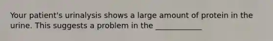 Your patient's urinalysis shows a large amount of protein in the urine. This suggests a problem in the ____________