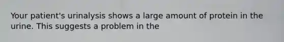 Your patient's urinalysis shows a large amount of protein in the urine. This suggests a problem in the