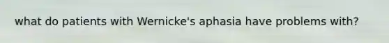 what do patients with Wernicke's aphasia have problems with?