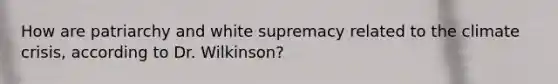 How are patriarchy and white supremacy related to the climate crisis, according to Dr. Wilkinson?