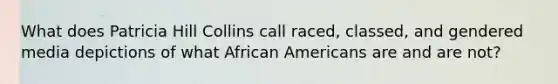 What does Patricia Hill Collins call raced, classed, and gendered media depictions of what African Americans are and are not?