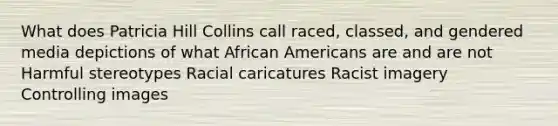 What does Patricia Hill Collins call raced, classed, and gendered media depictions of what African Americans are and are not Harmful stereotypes Racial caricatures Racist imagery Controlling images