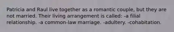 Patricia and Raul live together as a romantic couple, but they are not married. Their living arrangement is called: -a filial relationship. -a common-law marriage. -adultery. -cohabitation.