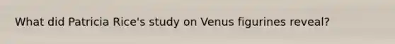 What did Patricia Rice's study on Venus figurines reveal?