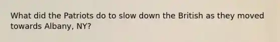 What did the Patriots do to slow down the British as they moved towards Albany, NY?
