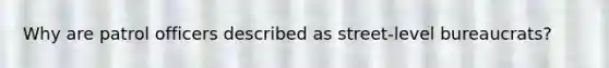 Why are patrol officers described as street-level bureaucrats?