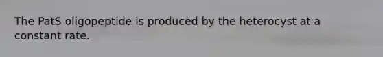 The PatS oligopeptide is produced by the heterocyst at a constant rate.