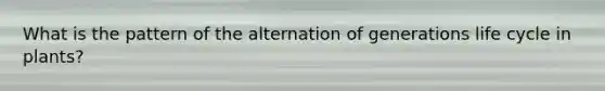 What is the pattern of the alternation of generations life cycle in plants?