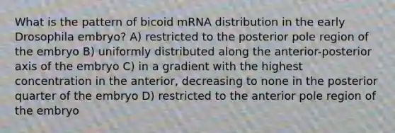What is the pattern of bicoid mRNA distribution in the early Drosophila embryo? A) restricted to the posterior pole region of the embryo B) uniformly distributed along the anterior-posterior axis of the embryo C) in a gradient with the highest concentration in the anterior, decreasing to none in the posterior quarter of the embryo D) restricted to the anterior pole region of the embryo