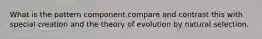 What is the pattern component compare and contrast this with special creation and the theory of evolution by natural selection.