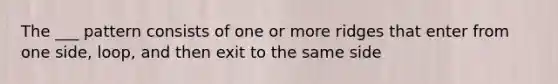 The ___ pattern consists of one or more ridges that enter from one side, loop, and then exit to the same side