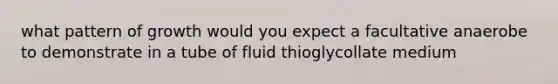 what pattern of growth would you expect a facultative anaerobe to demonstrate in a tube of fluid thioglycollate medium