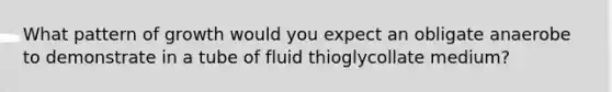 What pattern of growth would you expect an obligate anaerobe to demonstrate in a tube of fluid thioglycollate medium?