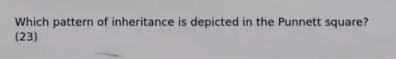 Which pattern of inheritance is depicted in the Punnett square? (23)