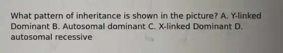 What pattern of inheritance is shown in the picture? A. Y-linked Dominant B. Autosomal dominant C. X-linked Dominant D. autosomal recessive