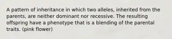 A pattern of inheritance in which two alleles, inherited from the parents, are neither dominant nor recessive. The resulting offspring have a phenotype that is a blending of the parental traits. (pink flower)