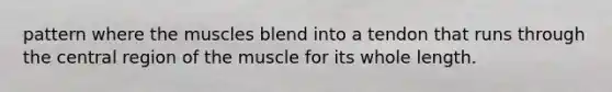 pattern where the muscles blend into a tendon that runs through the central region of the muscle for its whole length.