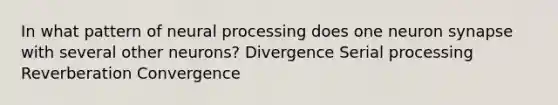 In what pattern of neural processing does one neuron synapse with several other neurons? Divergence Serial processing Reverberation Convergence