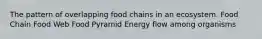 The pattern of overlapping food chains in an ecosystem. Food Chain Food Web Food Pyramid Energy flow among organisms