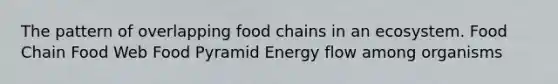 The pattern of overlapping food chains in an ecosystem. Food Chain Food Web Food Pyramid <a href='https://www.questionai.com/knowledge/kwLSHuYdqg-energy-flow' class='anchor-knowledge'>energy flow</a> among organisms