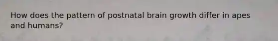 How does the pattern of postnatal brain growth differ in apes and humans?