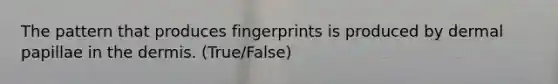 The pattern that produces fingerprints is produced by dermal papillae in the dermis. (True/False)