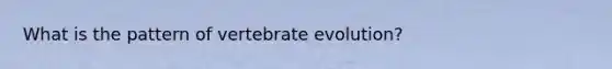 What is the pattern of vertebrate evolution?