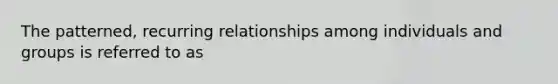 The patterned, recurring relationships among individuals and groups is referred to as