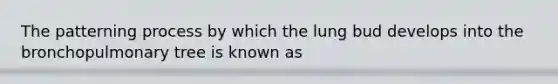 The patterning process by which the lung bud develops into the bronchopulmonary tree is known as