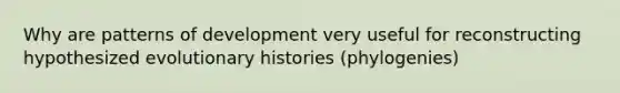 Why are patterns of development very useful for reconstructing hypothesized evolutionary histories (phylogenies)